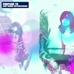 One Word Extinguisher by Prefuse 73