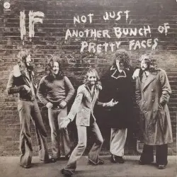 Not Just Another Bunch of Pretty Faces by If
