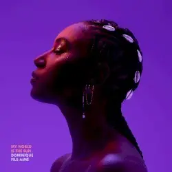 My World Is The Sun by Dominique Fils-Aimé