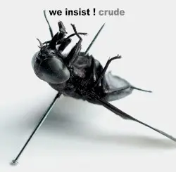Crude by We Insist!