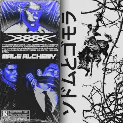 ソドムとゴモラ by Male Alchemy