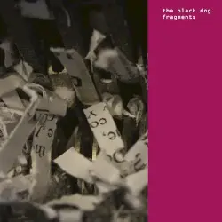 Fragments by The Black Dog