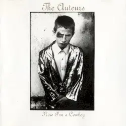 Now I’m a Cowboy by The Auteurs