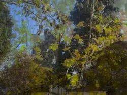 late autumn meditations by sevenism