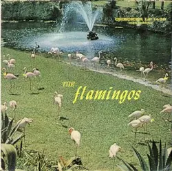 Flamingos by The Flamingos