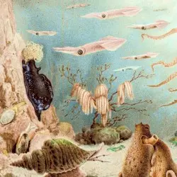 Episodes in Oceanography by Chypho