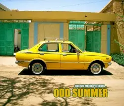 Odd Summer by Oddisee