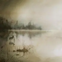 Berdreyminn by Sólstafir