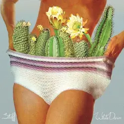 Stiff by White Denim