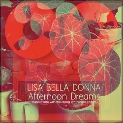 Afternoon Dreams: Explorations With the Moog Synthetizer System by Lisa Bella Donna