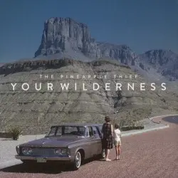 Your Wilderness by The Pineapple Thief