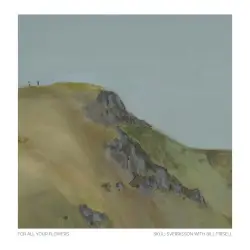 For All Your Flowers by Skúli Sverrisson, Bill Frisell