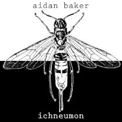 Ichneumon by Aidan Baker