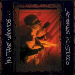 Strange in Stereo by In the Woods…