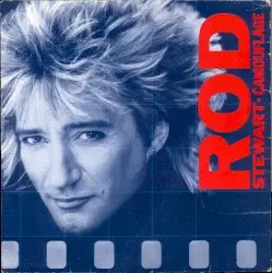 Camouflage by Rod Stewart