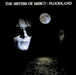 Floodland by The Sisters of Mercy