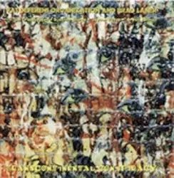 Transcontinental Conspiracy by Vas Deferens Organization and Brad Laner