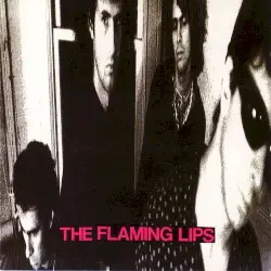 In a Priest Driven Ambulance by The Flaming Lips