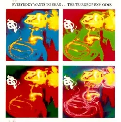 Everybody Wants to Shag… by The Teardrop Explodes