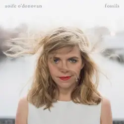 Fossils by Aoife O’Donovan
