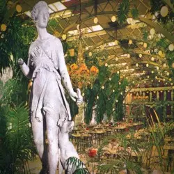 植生寿像望郷 (Vegetation & Statue) by Zadig the Jasp
