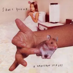 A Thousand Leaves by Sonic Youth