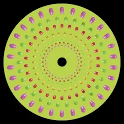 XOR by RTR