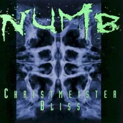 Christmeister Bliss by Numb