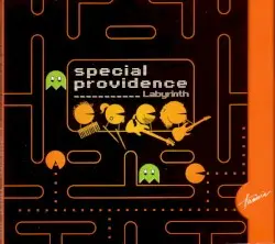 Labyrinth by Special Providence