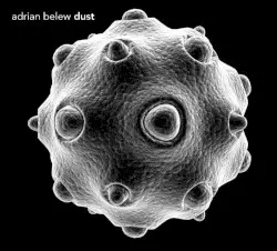 Dust by Adrian Belew