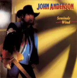 Seminole Wind by John Anderson