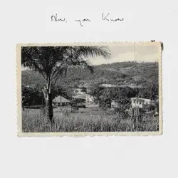 Now, You Know by Rosie Lowe