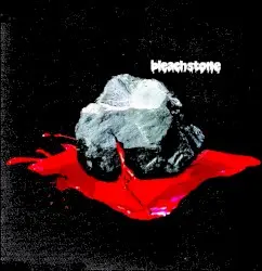 bleachstone by Bleach