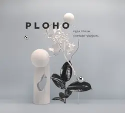 Куда птицы улетают умирать by Ploho