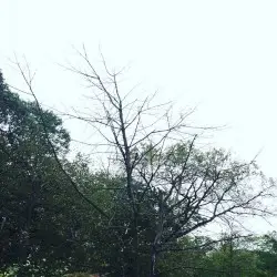 Rain by Sadness