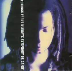 Terence Trent D’Arby’s Symphony or Damn by Terence Trent D’Arby