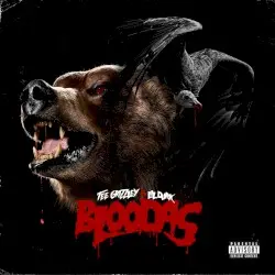 Bloodas by Tee Grizzley & Lil Durk