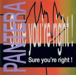 Sure You're Right! by Pantera