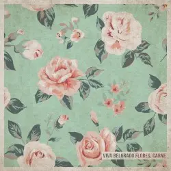 Flores, carne by Viva Belgrado