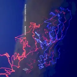 Synesthesia by Porya Hatami + Lcoma