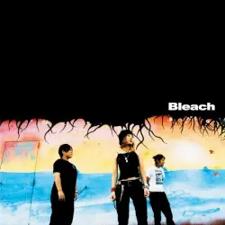 Bleach by Bleach