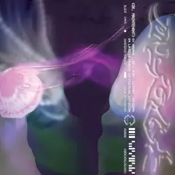OK, Maintenant by DLGHT