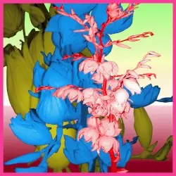 A Slope of Apathy by thicc & LSZ