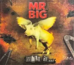What If… by Mr. Big