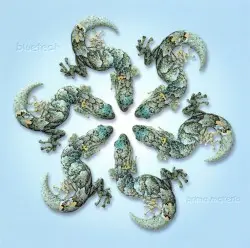 Prima Materia by Bluetech