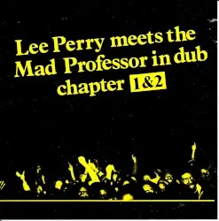 Lee Perry Meets The Mad Professor by Lee “Scratch” Perry & Mad Professor