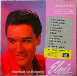Something for Everybody by Elvis Presley