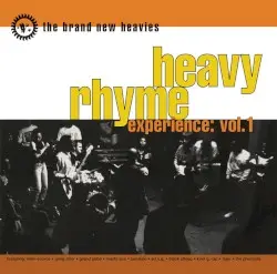 Heavy Rhyme Experience, Volume 1 by The Brand New Heavies
