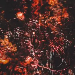 Unregimentation by Chaos Data