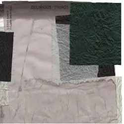 Delirious Things by Aidan Baker with Claire Brentnall